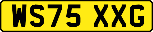 WS75XXG
