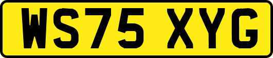 WS75XYG