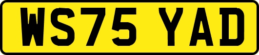WS75YAD