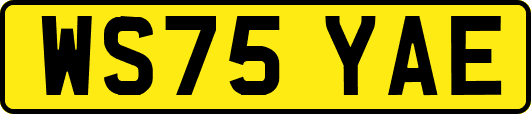 WS75YAE