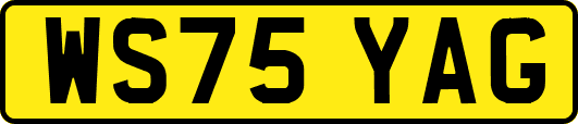 WS75YAG