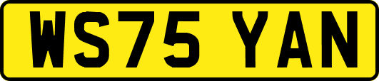 WS75YAN