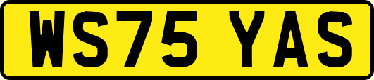 WS75YAS