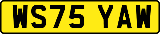 WS75YAW