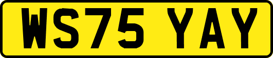 WS75YAY