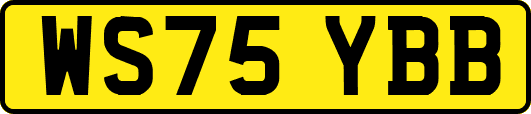 WS75YBB