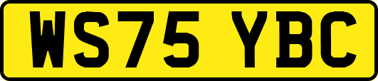 WS75YBC