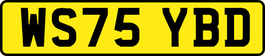 WS75YBD