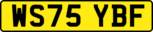 WS75YBF