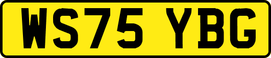 WS75YBG