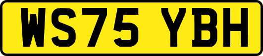 WS75YBH