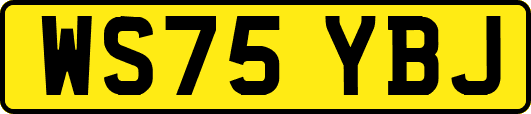 WS75YBJ