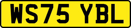 WS75YBL