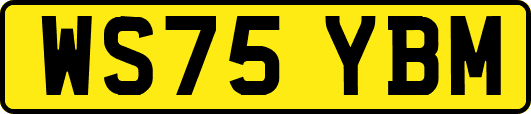 WS75YBM