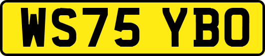 WS75YBO