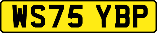 WS75YBP