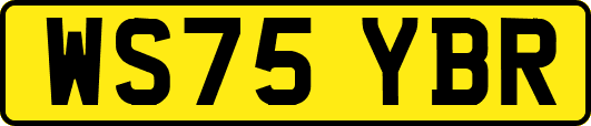 WS75YBR