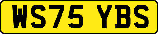 WS75YBS