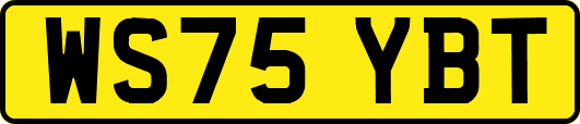 WS75YBT