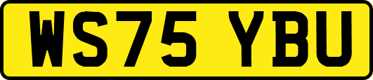 WS75YBU