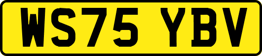 WS75YBV
