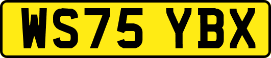 WS75YBX