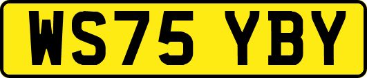WS75YBY