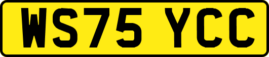 WS75YCC