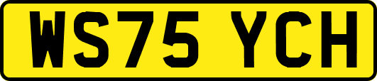 WS75YCH