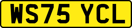 WS75YCL