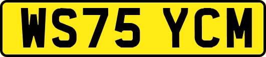 WS75YCM