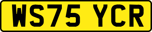 WS75YCR
