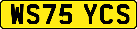 WS75YCS