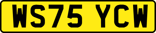 WS75YCW