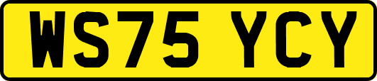 WS75YCY
