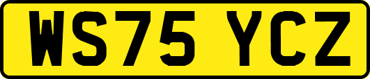 WS75YCZ