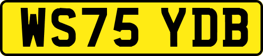 WS75YDB