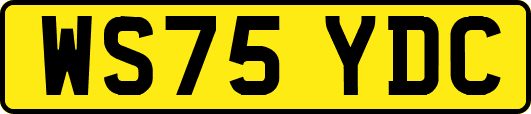 WS75YDC