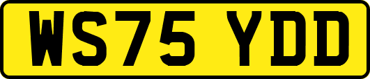WS75YDD