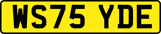 WS75YDE
