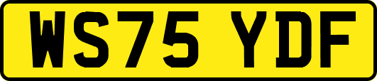 WS75YDF