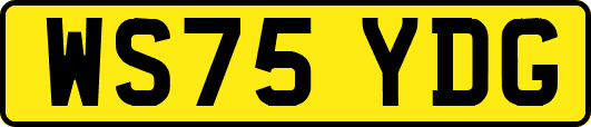 WS75YDG