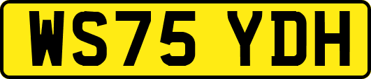WS75YDH