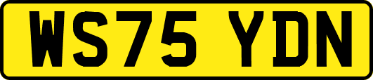 WS75YDN