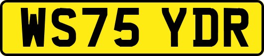 WS75YDR
