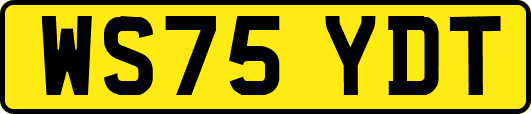 WS75YDT