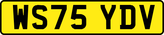 WS75YDV
