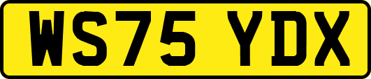 WS75YDX