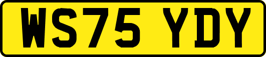 WS75YDY