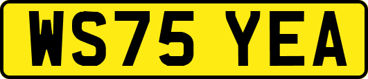 WS75YEA